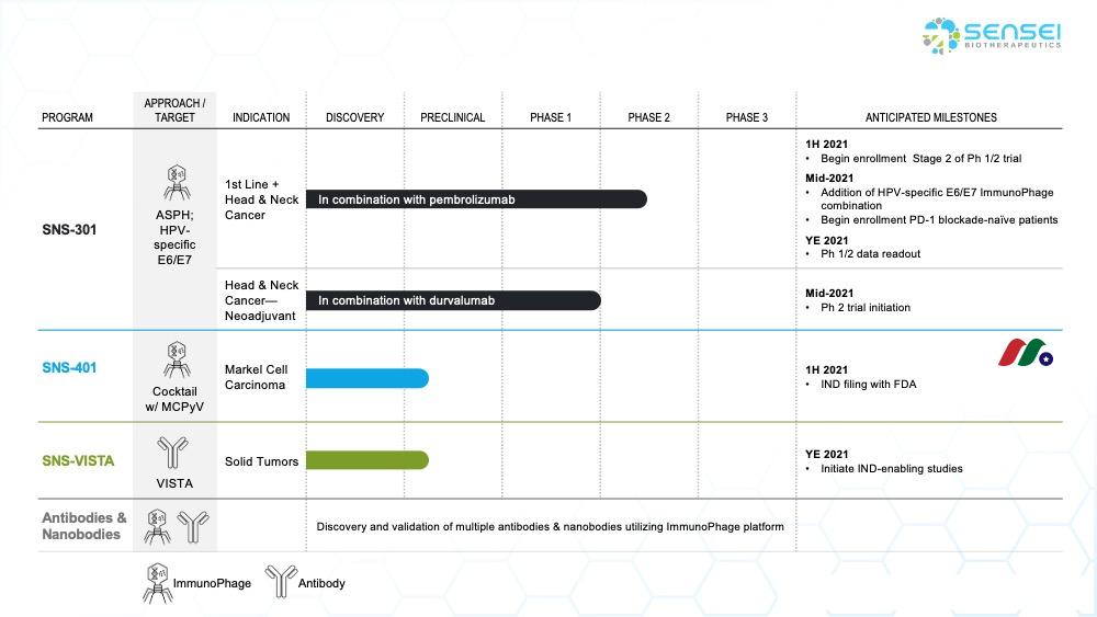 癌症生物技术公司:Sensei Biotherapeutics, Inc.(SNSE)-图片2